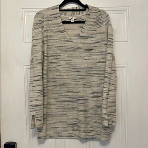 J. Jill Cream and Gray Marled V-Neck Sweater